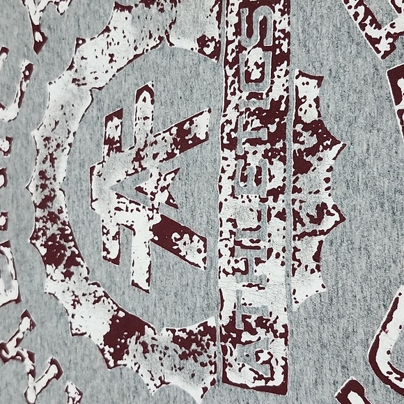 AMERICAN FIGHTER TRAINING DIVISION GRAY MAROON RAISED LOGO GRAPHIC CREW-NECK TEE - Picture 3 of 14